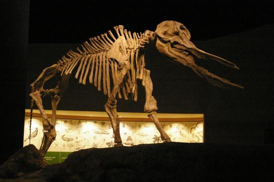 Nationaal Museum van Saudi-Arabië